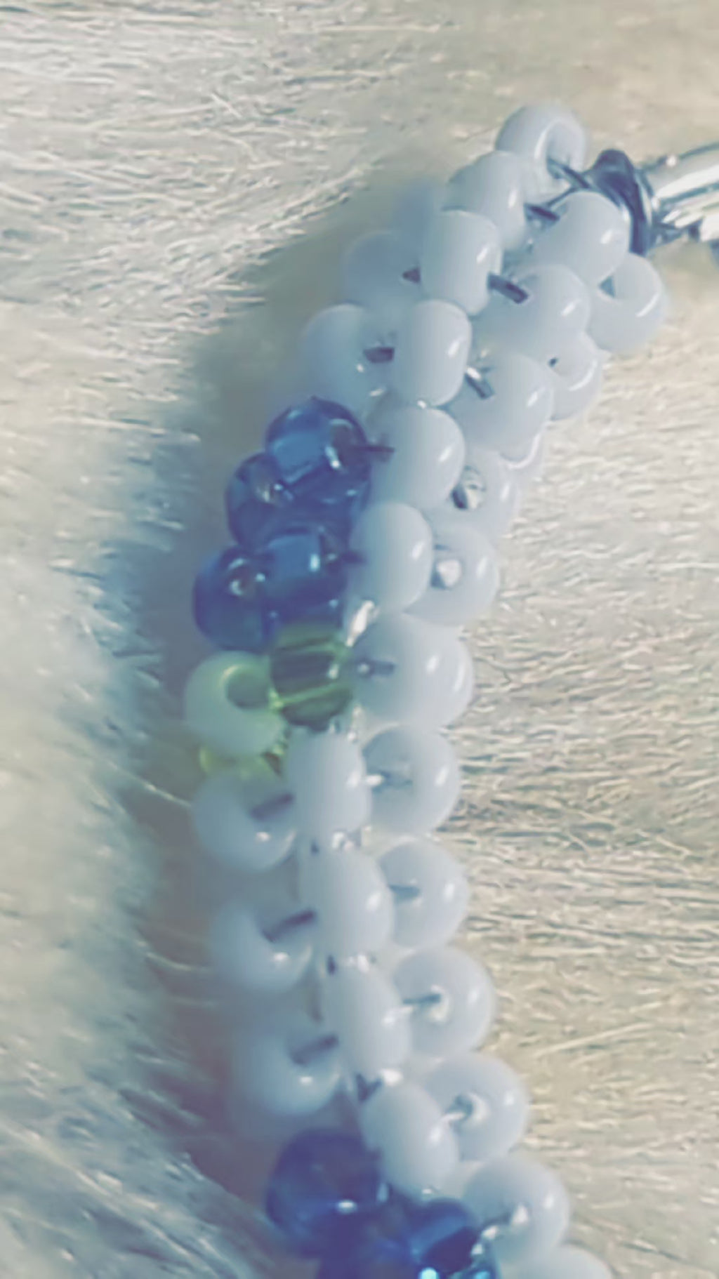 Blueberry hoops