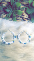 Blueberry hoops