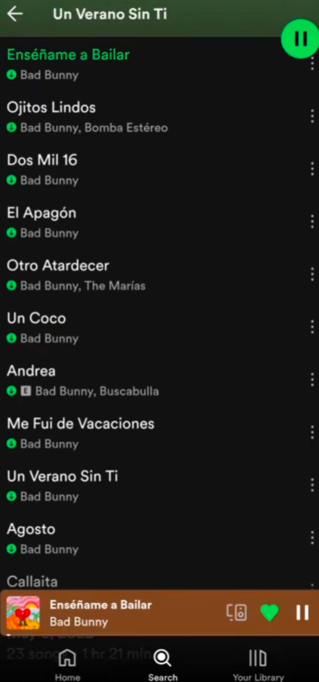 Bad Bunny #1
